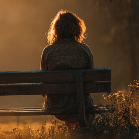 Woman seen from behind, sitting on a bench in evening light